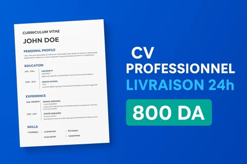CV Professionne كتابة سيرة ذاتية احترافية