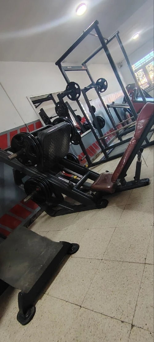 Leg Press 45 telju