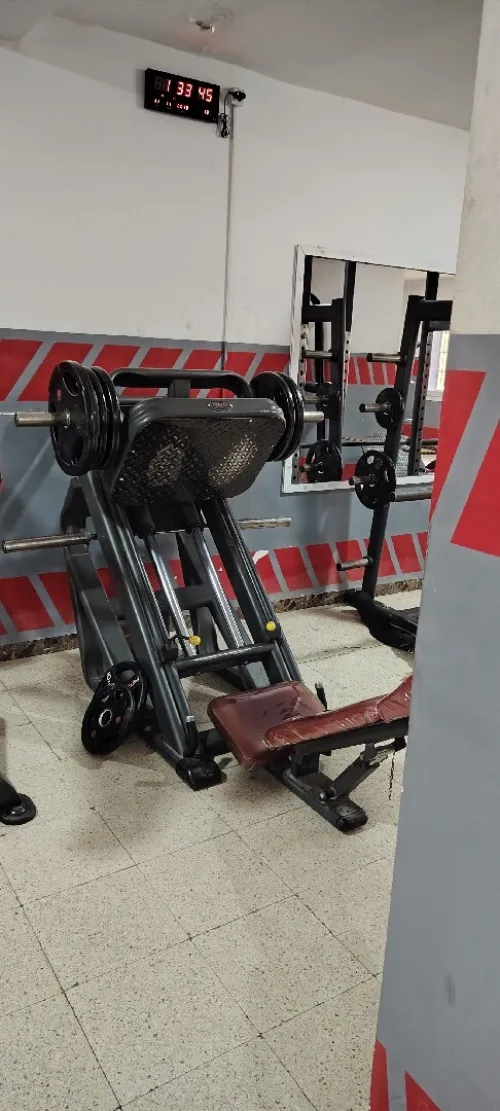 Leg Press 45 telju