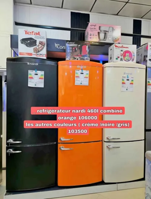 Réfrigérateur nardi combiné en couleur 460l 