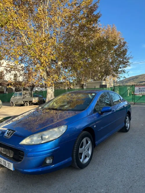 Peugeot 407 2010 407