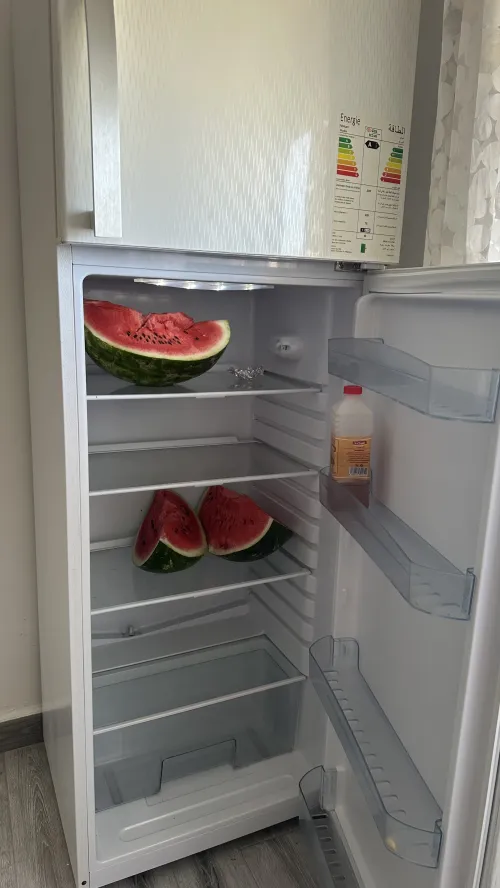 Frigidaire IRIS 300L