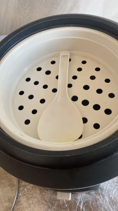 Cuiseur de riz vapeur 
