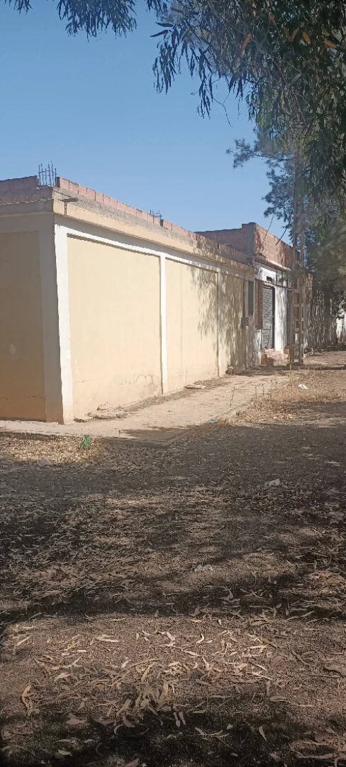 Vente Local Sidi Bel Abbès Sidi bel abbes