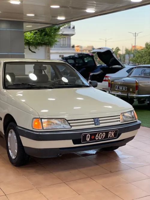 Peugeot 405 1989 Gr