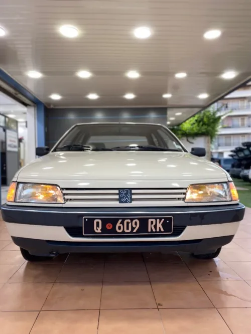 Peugeot 405 1989 Gr