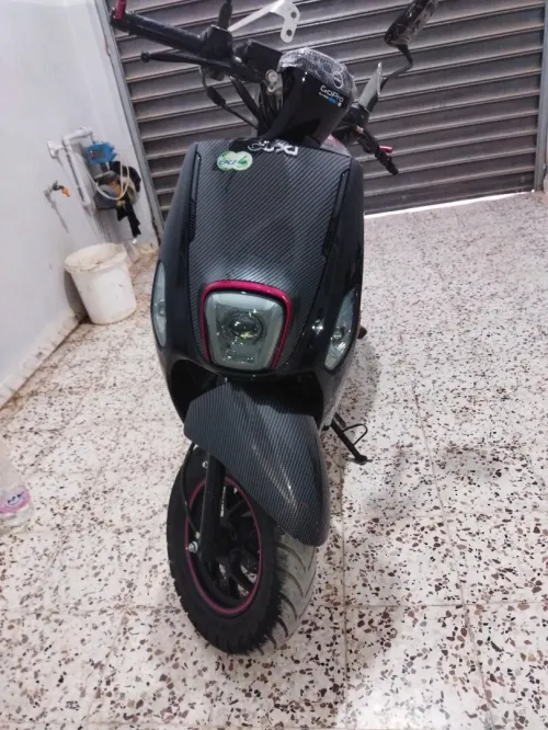 vms couxi 2 2025