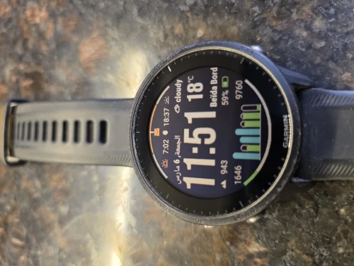 Garmin f 955