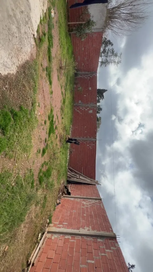 Location Terrain Alger Cheraga