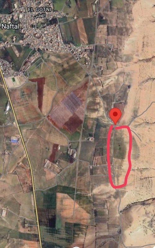 Vente Terrain Agricole Oran Boufatis