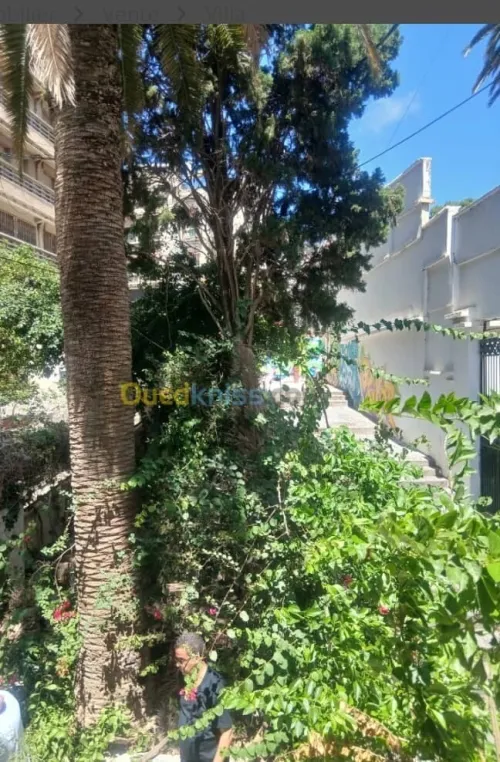 Vente Villa Alger Alger centre