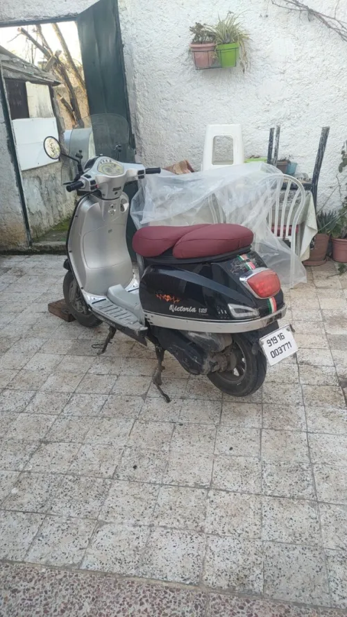 Okinoi Vectoria 2019