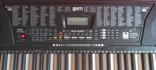 piano electrique GM-825