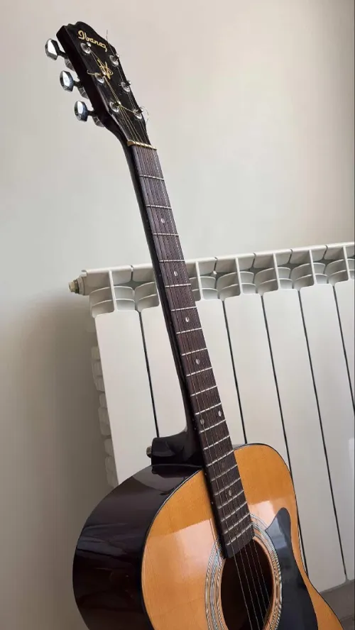 Guitare Acoustique Ibanez 