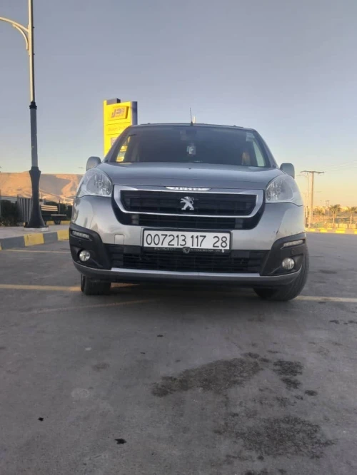 Peugeot Tepe 2017 