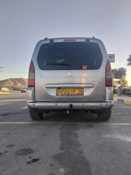Peugeot Tepe 2017 