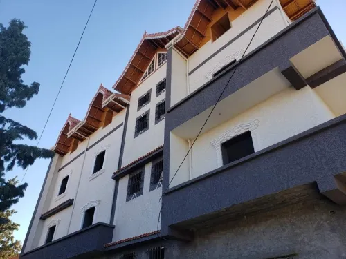 Facade en monocouch gratté et mouchter écrasé.......