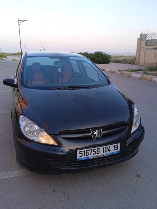 Peugeot 307 2004 307