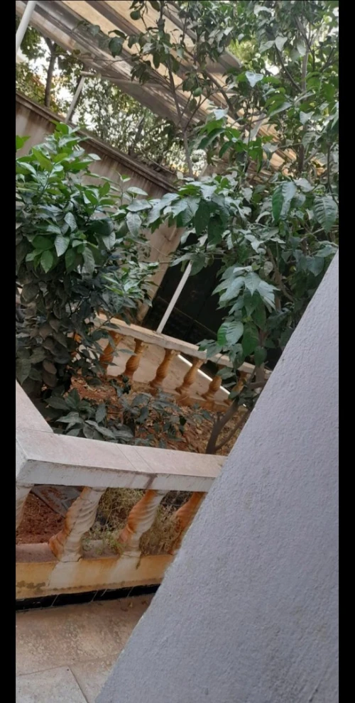 Vente Villa Alger Birkhadem