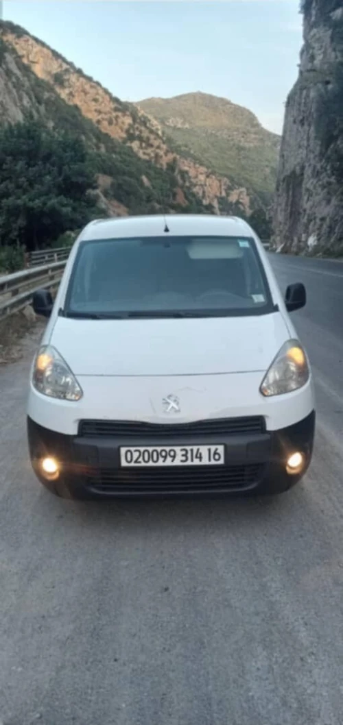 Peugeot Partner 2014 Partner