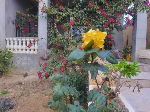 Vente Villa Bordj Bou Arreridj El achir
