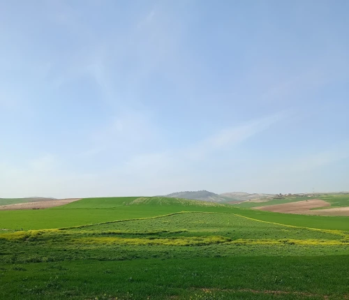 Vente Terrain Agricole Sidi Bel Abbès Ain thrid