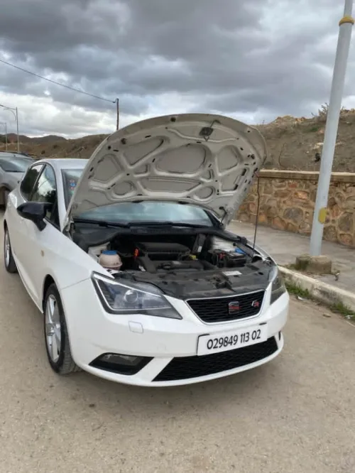 Seat Ibiza 2013 Sport Edition