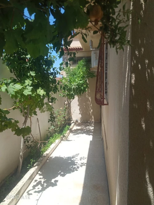 Location Appartement F2 El Tarf El kala
