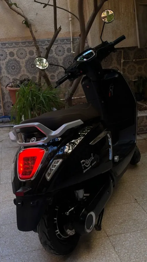 rissol orizon 2024