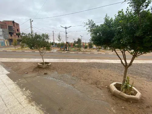 Location Local Béchar Bechar