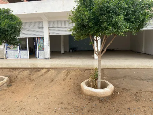 Location Local Béchar Bechar