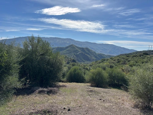 Vente Terrain Tizi Ouzou Boudjima