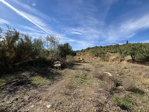 Vente Terrain Tizi Ouzou Boudjima