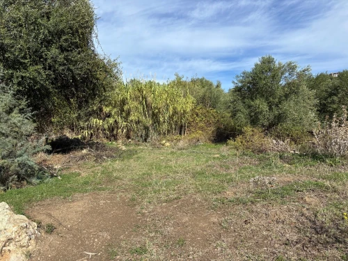 Vente Terrain Tizi Ouzou Boudjima