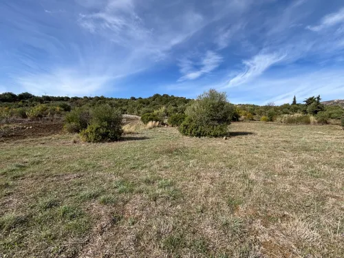 Vente Terrain Tizi Ouzou Boudjima