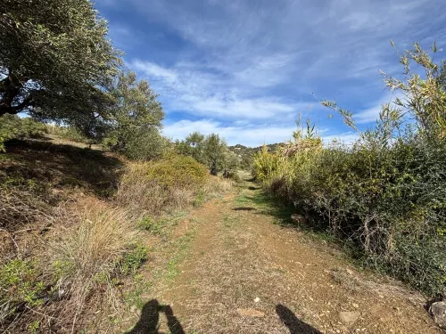 Vente Terrain Tizi Ouzou Boudjima