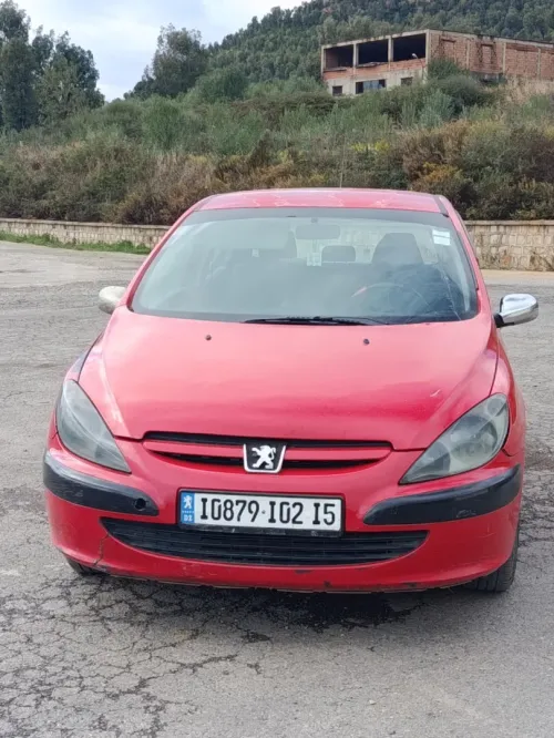 307 Peugeot 2002 