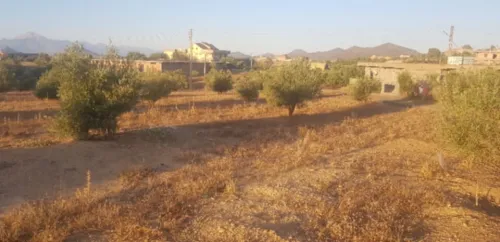 Vente Terrain Bouira Ahl el ksar