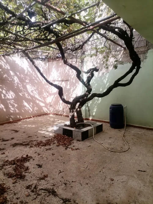 Vente Villa Mila Ferdjioua