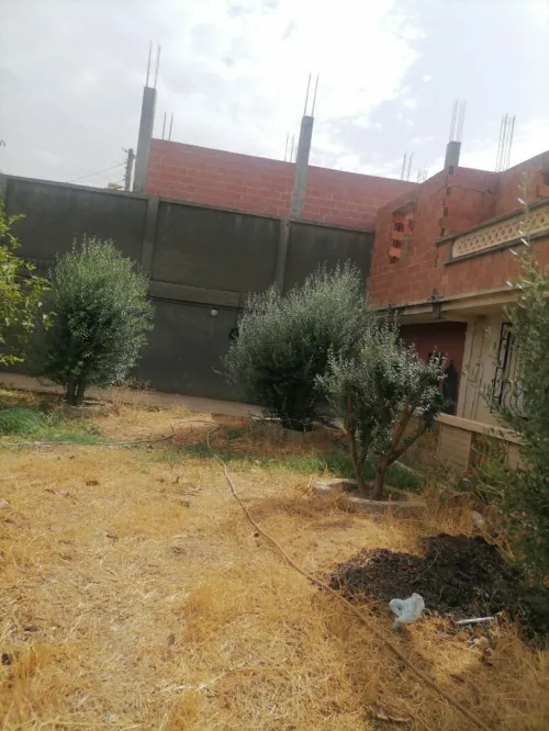 Vente Villa Mila Ferdjioua