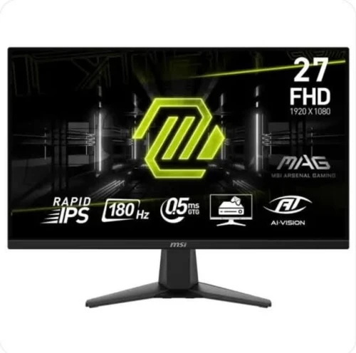 25"  MSI MAG 256F