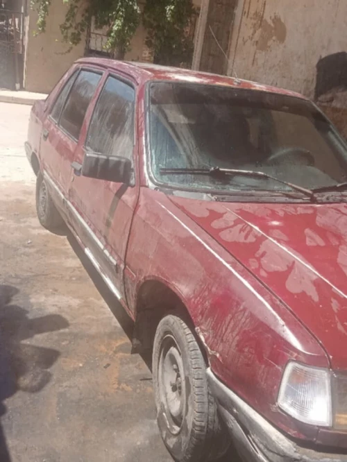 Peugeot 309 1987 309