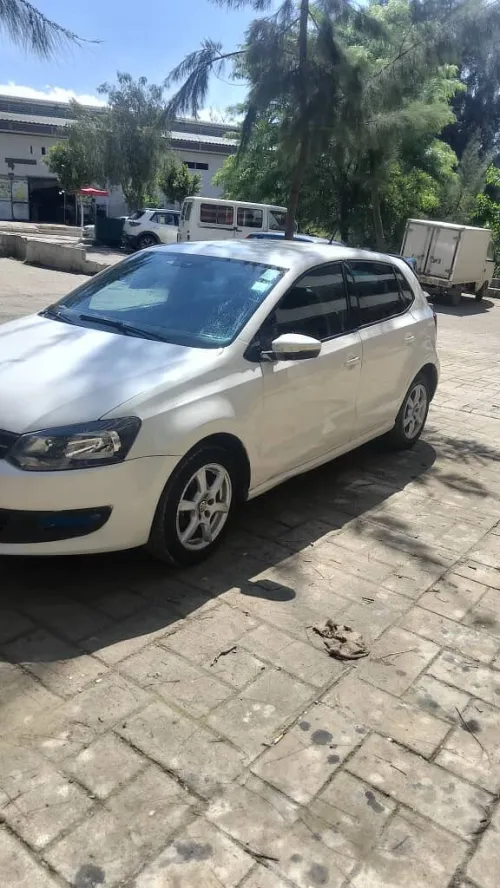 Volkswagen Polo 2011 Team