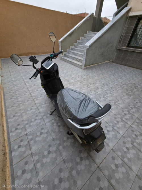 Dora Rada 2025