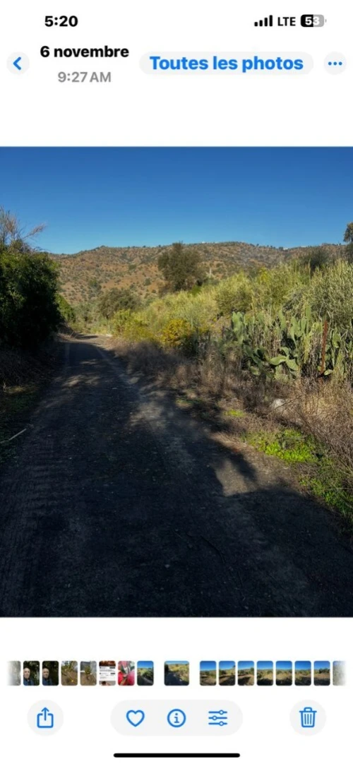 Vente Terrain Sétif Beni ouartilene