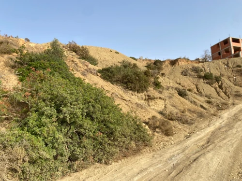 Vente Terrain Tlemcen Ghazaouet