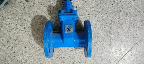 Pumpe immergée 