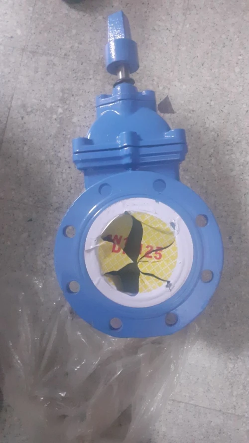 Pumpe immergée 