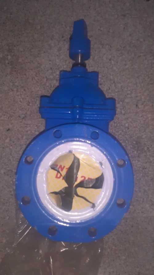 Pumpe immergée 