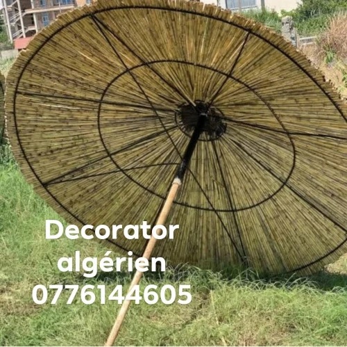 Les parasol artistique